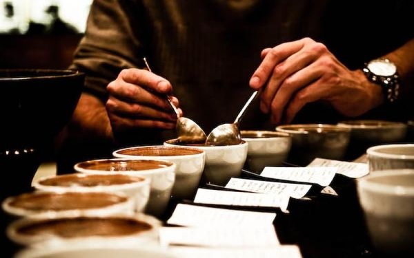 Cupping cafe 4